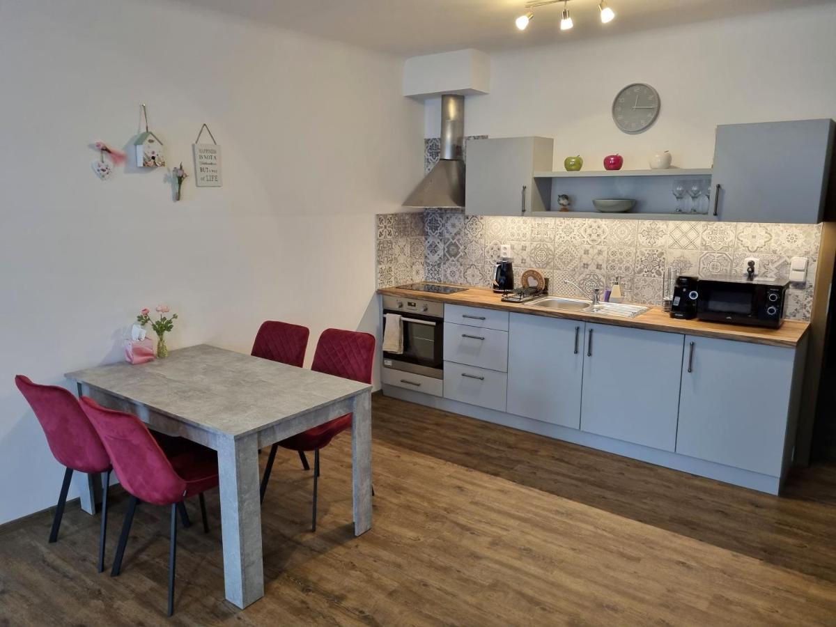 Velke Studio Na Velkem Namesti S Vybavenou Kuchyni Hradec Králové Extérieur photo