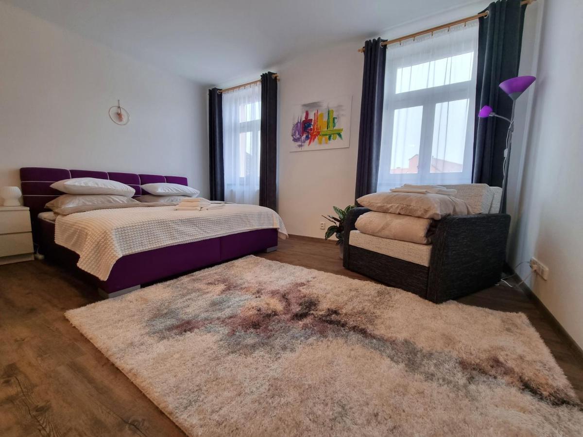 Velke Studio Na Velkem Namesti S Vybavenou Kuchyni Hradec Králové Extérieur photo