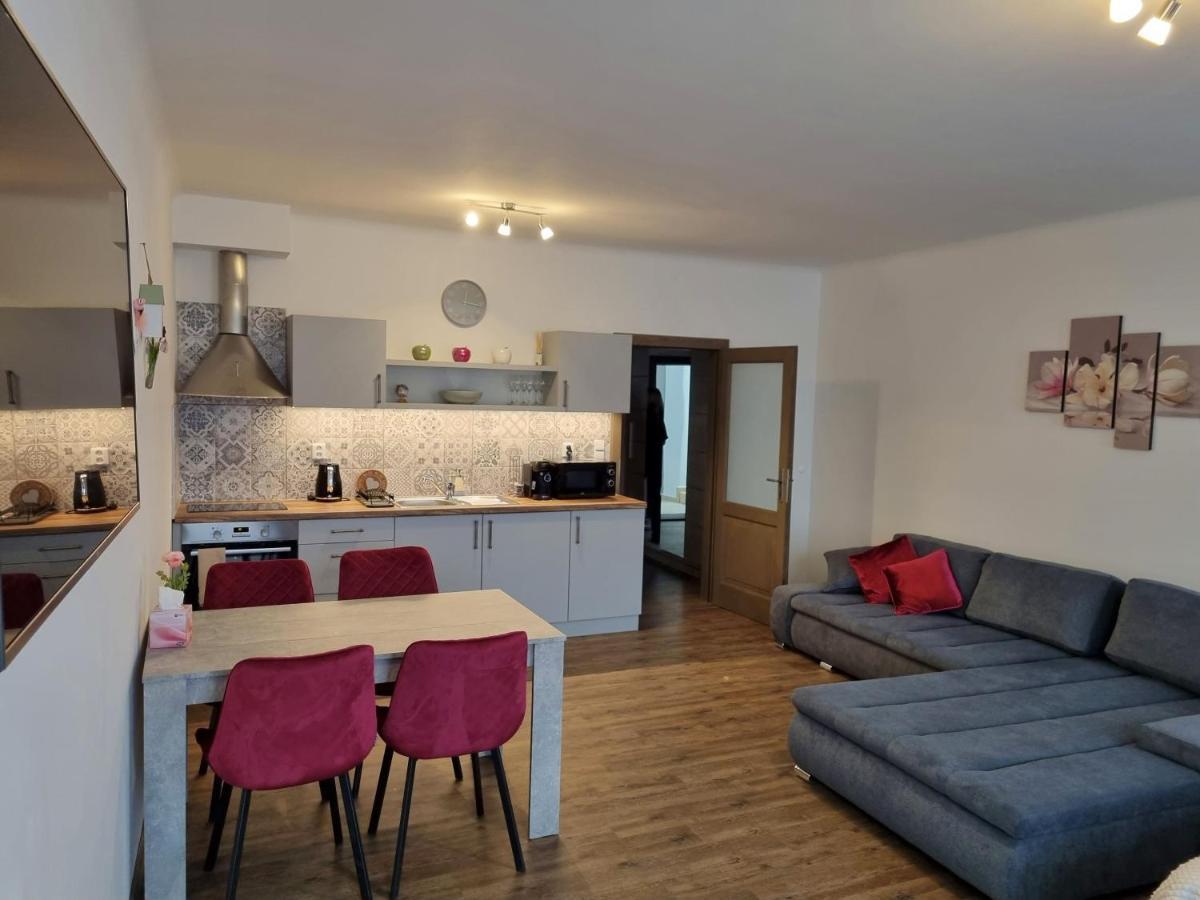 Velke Studio Na Velkem Namesti S Vybavenou Kuchyni Hradec Králové Extérieur photo
